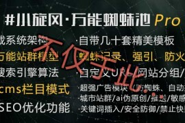 小旋风蜘蛛池站群使用教程 如何搭建蜘蛛池