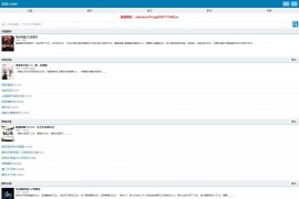 小旋风蜘蛛池蓝色小说模板 小说站群移动模板